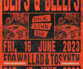 DUCK DOWN JAKARTA  BLIPS  BLEEPS