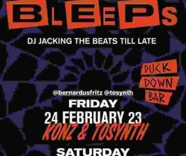 DUCK DOWN JAKARTA  BLIPS  BLEEPS