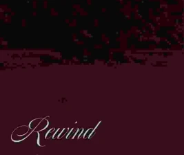 LEON GOLD STEIN JAKARTA  REWIND