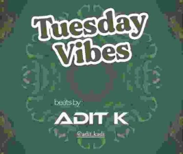 ROBOT  CO  TUESDAY VIBES
