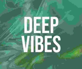 ROBOT  CO JAKARTA  DEEP VIBES