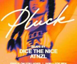THE SWILL HOUSE JAKARTA  PLUCK