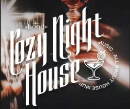 BOND SENOPATI JAKARTA  COZY NIGHT HOUSE