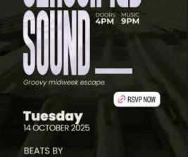 007  COCKTAIL  WHISKY BAR SENOPATI JAKARTA  CLASSIFIED SOUND