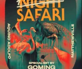 ZOO SCBD JAKARTA  PARTY NIGHT SAFARI