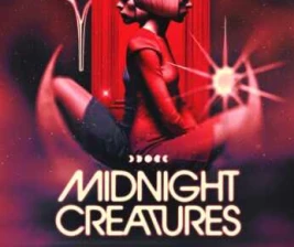 ZOO SCBD JAKARTA  MIDNIGHT CREATURES