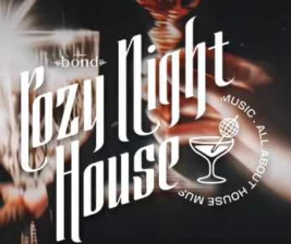 BOND SENOPATI JAKARTA  COZY NIGHT HOUSE