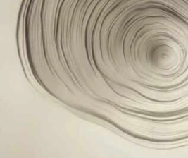 KYRO JAKARTA  TUESDAY