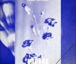 STORIES SCBD JAKARTA  FORMATIONS