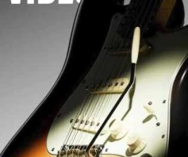 BOND SENOPATI JAKARTA  CHART VIBES