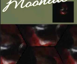 DWNTWN JAKARTA  TUESDAY