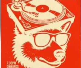 ANORA 2 JAKARTA  SATURDAZE