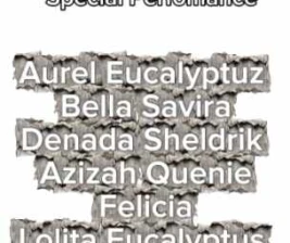 LETS GLOW (PGC) KTV LOUNGE BAR - TUESDAY