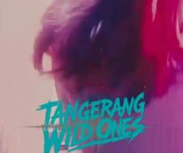 MONKEY KING BAR  LOUNGE GADING SERPONG  TANGERANG WILD ONES