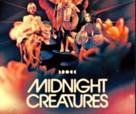 ZOO SCBD JAKARTA  MIDNIGHT CREATURES