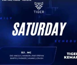 GOLDEN TIGER KEMANG  SATURDAY