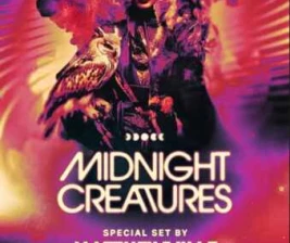 ZOO SCBD JAKARTA  MIDNIGHT CREATURES