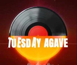 CARTA SCBD JAKARTA  TUESDAY AGAVE
