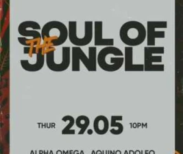 ZOO SCBD JAKARTA  SOUL OF THE JUNGLE