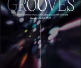 STALK SCBD JAKARTA  STALKER GROOVES