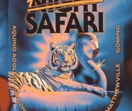 ZOO SCBD JAKARTA  PARTY NIGHT SAFARI