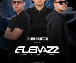 FOS KEMANG JAKARTA  BIRDS  BEES