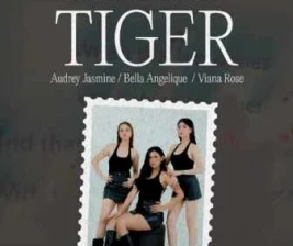 STALK SCBD JAKARTA  BABY TIGER