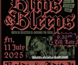 DUCK DOWN GUNAWARMAN JAKARTA  BLIPS  BLEEPS