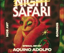 ZOO SCBD JAKARTA  PARTY NIGHT SAFARI