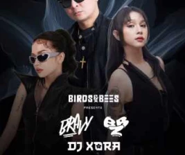 FOS KEMANG JAKARTA  BIRDS AS BEES