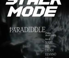 STALK SCBD JAKARTA  PARADIDDLE