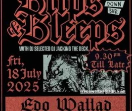 DUCK DOWN GUNAWARMAN JAKARTA  BLIPS  BLEEPS