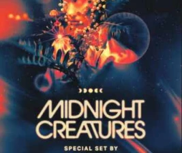 ZOO SCBD JAKARTA  MIDNIGHT CREATURES