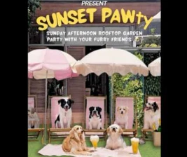 DOBU KUNINGAN JAKARTA  SUNSET PAWTY
