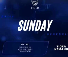 GOLDEN TIGER KEMANG JAKARTA  SUNDAY