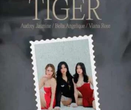 STALK SCBD JAKARTA  BABY TIGER