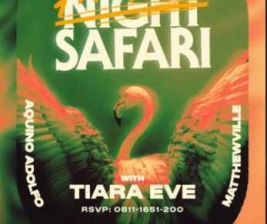 ZOO SCBD JAKARTA  SAFARI NIGHT PARTY