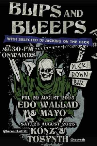 DUCK DOWN GUNAWARMAN JAKARTA - BLIPS AND BLEEPS