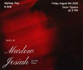 IZZY SOCIAL CLUB GUNAWARMAN JAKARTA  FLOW FRIDAY