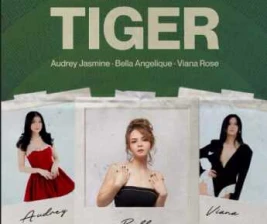 STALK SCBD JAKARTA  BABY TIGER