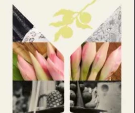 CORK  SCREW SENAYAN JAKARTA  WEDNESDAY