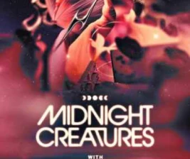 ZOO SCBD JAKARTA  MIDNIGHT CREATURES