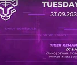 GOLDEN TIGER KEMANG JAKARTA  TUESDAY