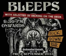 DUCK DOWN JAKARTA  BLIPS AND BLEEPS