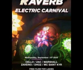 FYNE JAKARTA  RAVERB ELECTRICAL CARNIVAL
