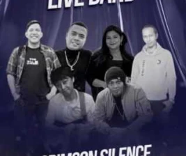 TIFFANEY BAR LOUNGE  KTV BEKASI  LIVE BAND