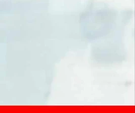 SHAMROCK TEBET JAKARTA  SUNDAY