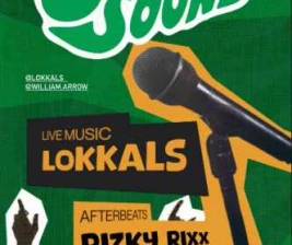 LUCY IN THE SKY SPARK SONIC SOUND