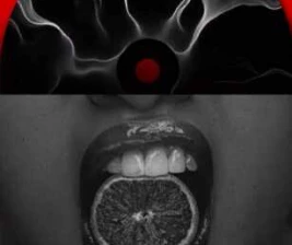 FYNE JAKARTA  BITE ME BABY