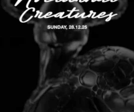 STALK SCBD JAKARTA  NOCTURNAL CREATURES